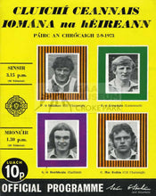 Load image into Gallery viewer, 1973 All-Ireland Hurling Final Match Programme Cover