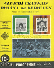 Load image into Gallery viewer, 1974 All-Ireland Hurling Final Match Programme Cover