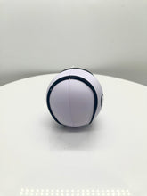 Load image into Gallery viewer, Sliotar Stress Ball
