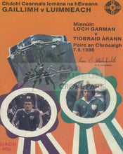Load image into Gallery viewer, 1980 All-Ireland Hurling Final Match Programme Cover.
