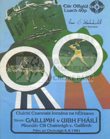 1981 All-Ireland Hurling Final Match Programme Cover.
