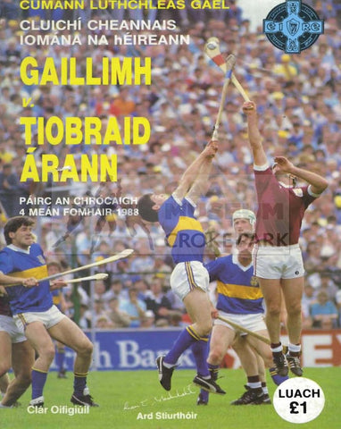 1988 All-Ireland Hurling Final Match Programme Cover